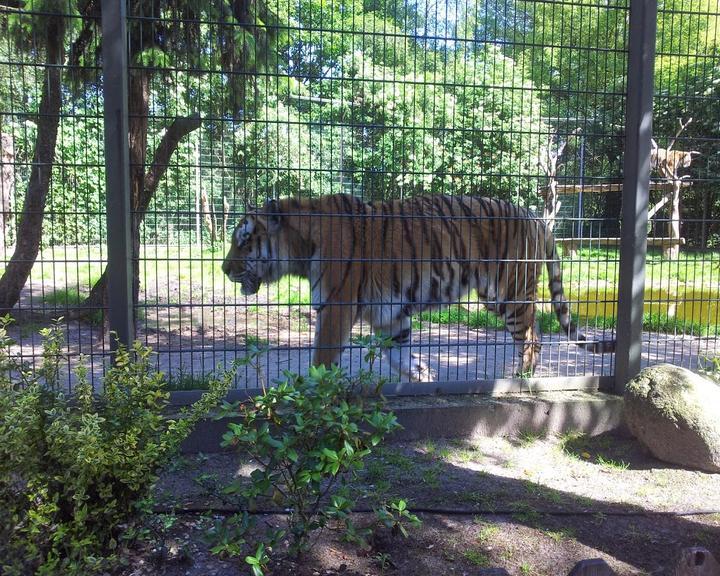 Tierpark-Restaurant